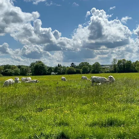 Le Du Moulin-batisse De Caractere De 1795 En Bord De Loir-10 Mn Du Zoo De La Fleche-30 Mn Des 24 H Du Mans-circuit De Randonnee Et Promenade A Velo Sur Chemin De Pleine Campagne-calme Absolu Loin Du Stress Quotidien ! Clermont-Creans